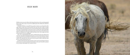 Wild Horses of the West by Jan Drake