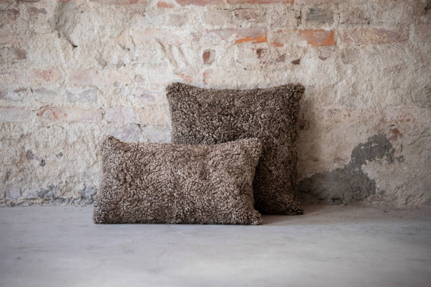 Teddy Sheepskin Pillow