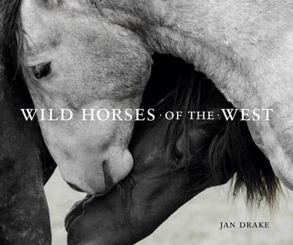 Wild Horses of the West by Jan Drake