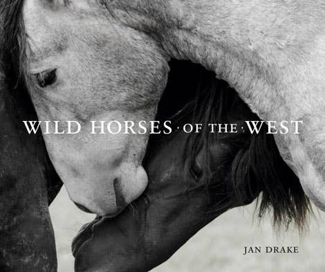 Wild Horses of the West by Jan Drake