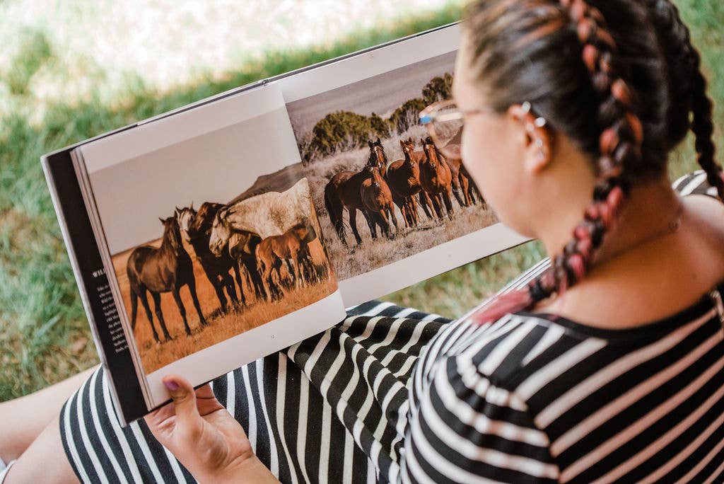Wild Horses of the West by Jan Drake